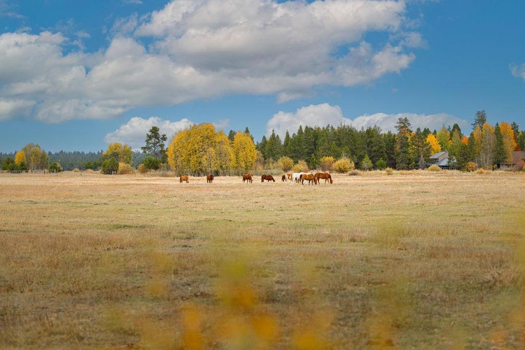 Villa Coyote - Unit 9 Sunriver Esterno foto
